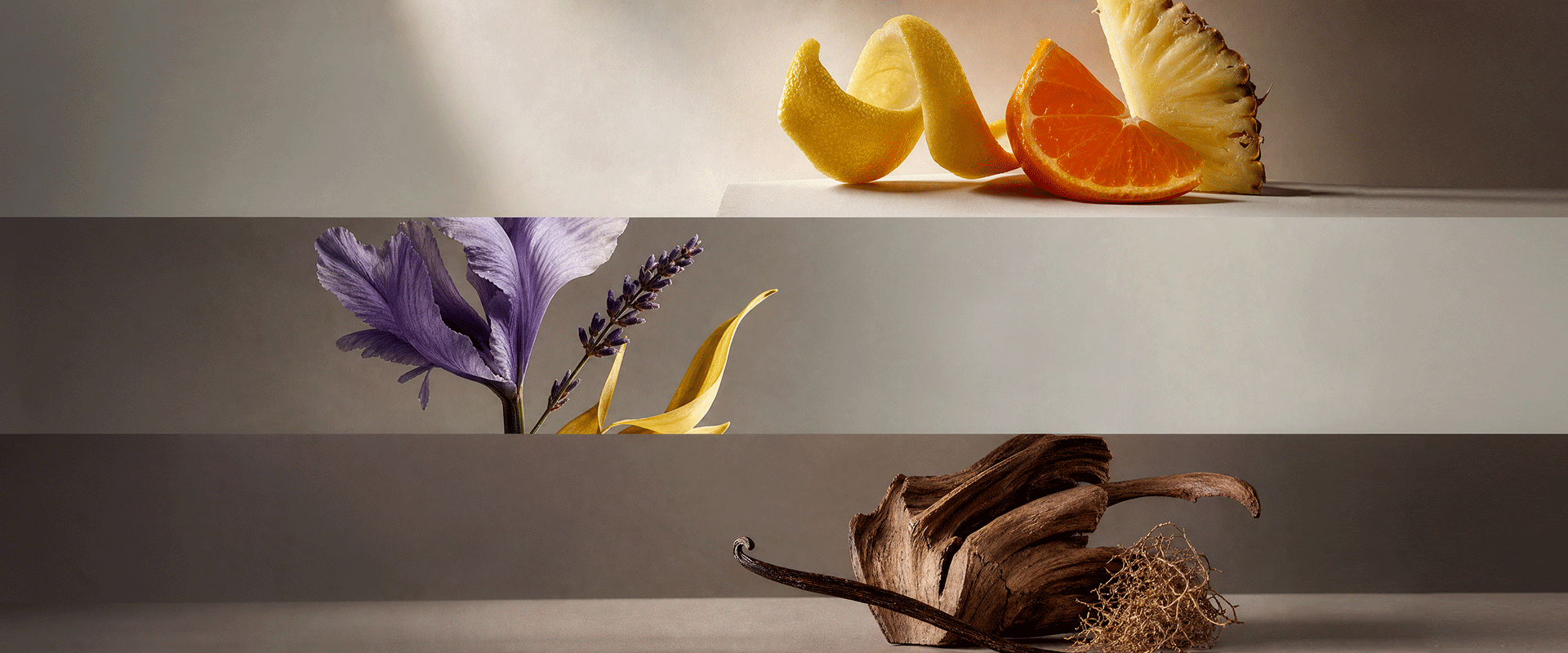 fragrance_1920_900.png